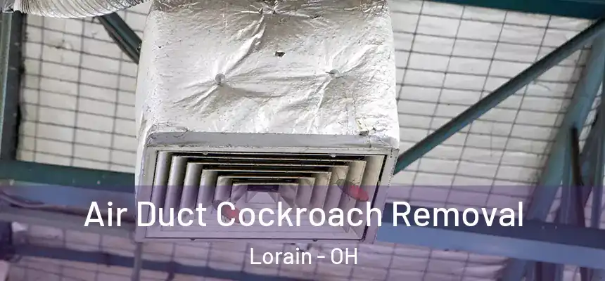 Air Duct Cockroach Removal Lorain - OH
