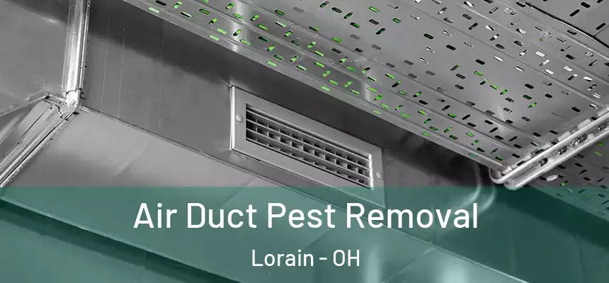 Air Duct Pest Removal Lorain - OH