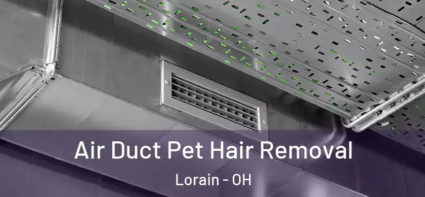 Air Duct Pet Hair Removal Lorain - OH