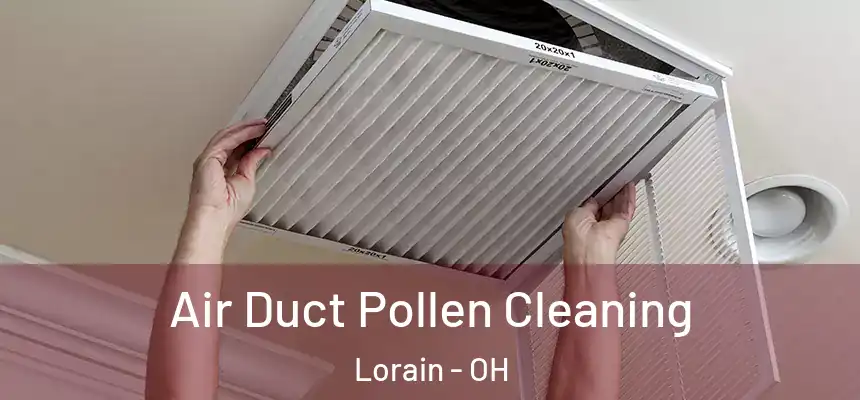 Air Duct Pollen Cleaning Lorain - OH