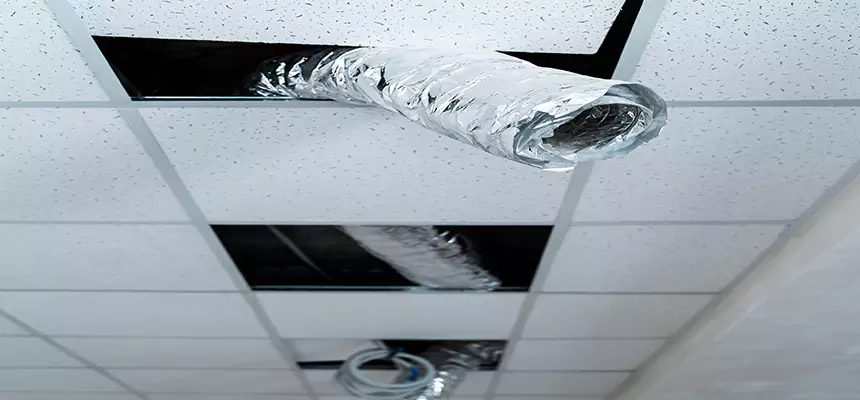 Our Air Duct Pet Hair Removal Services in Lorain, OH