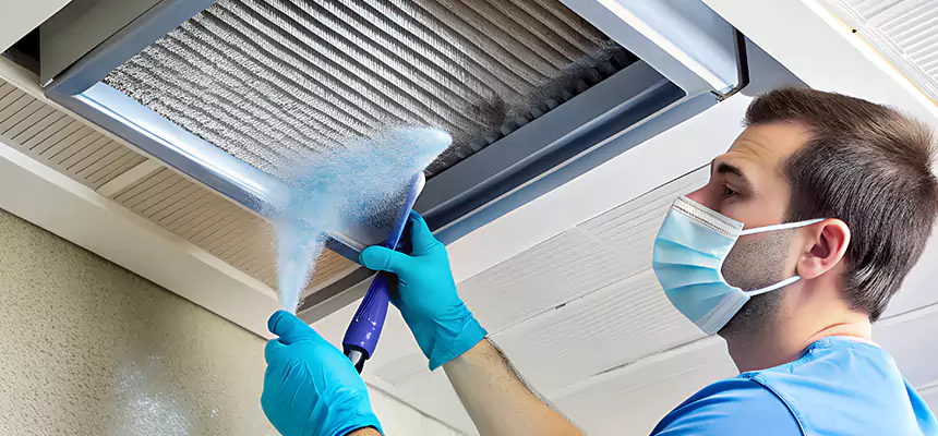 Proactive Dryer Vent & Auxiliary Duct Pollen Cleanup in Lorain, OH