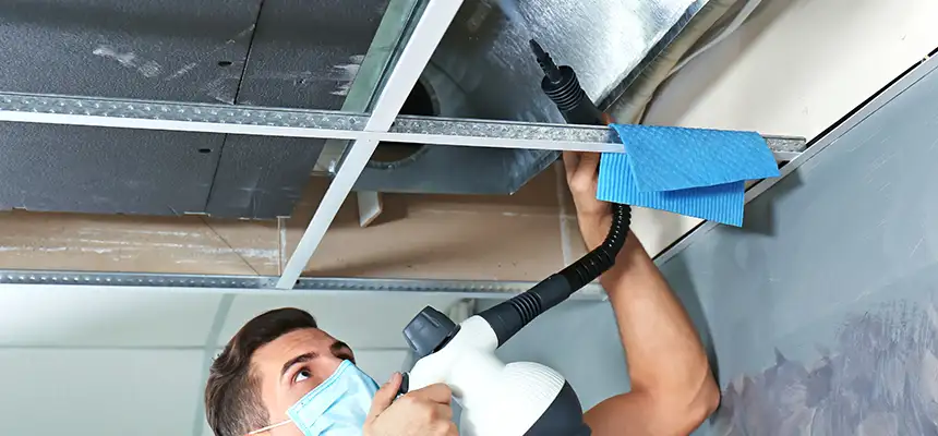 Our Air Duct Rodent Removal Services in Lorain, OH