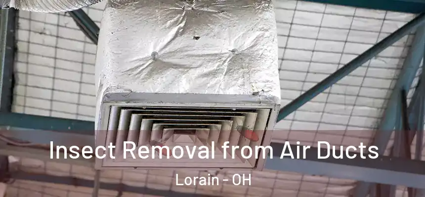 Insect Removal from Air Ducts Lorain - OH