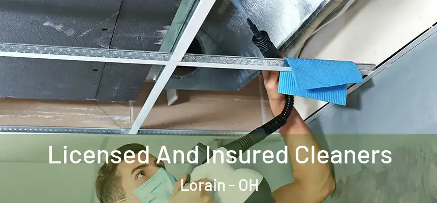 Licensed And Insured Cleaners Lorain - OH