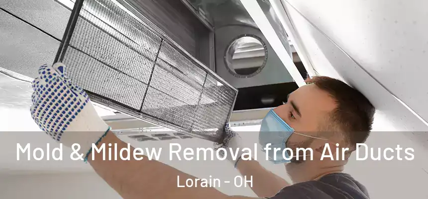 Mold & Mildew Removal from Air Ducts Lorain - OH