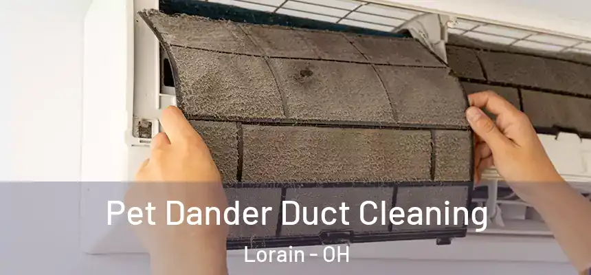 Pet Dander Duct Cleaning Lorain - OH