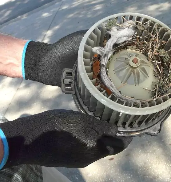 About Air Duct Rat Removal in Lorain, OH