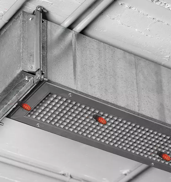 Affordable Insect Removal from Air Ducts in Lorain, OH