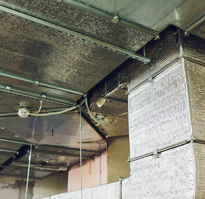 Why Homeowners & Businesses Trust Us in Lorain, OH?